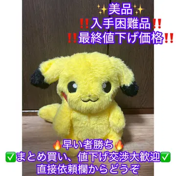 뾱뾱린 피카츄 봉제 인형 포켓몬 센터 포켓몬스터
