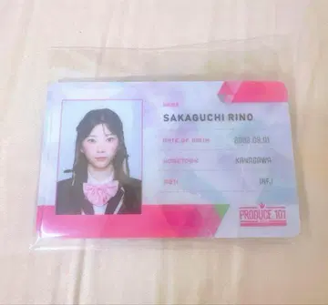 사카구치 리노 ID 카드 IS:SUE 이쉬 리노 일
