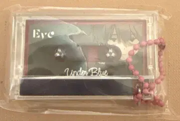 Eve UnderBlue 뮤직 키링 burgundy