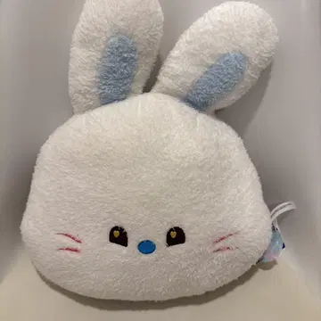 [ NewJeans ] bunini 페이스 쿠션 White 해린