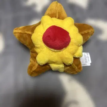 진짜 귀여운 스타미