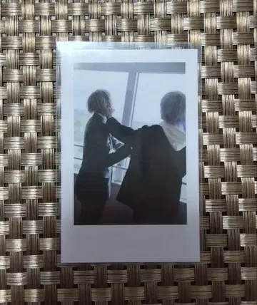 이레귤러 다이스 실사 폴라로이드 쇼토 hotoke