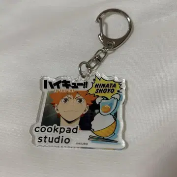 하이큐!! Cookpad Studio 카라스노 축제 히나타 쇼요 세트