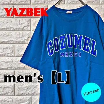 AH156 [ YAZBEK ] 프린트 티셔츠 [ 남성용 L ] 블루