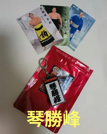 고토쇼호 전광 게시판풍 씨름 기술 이름 키링과 카드 세트