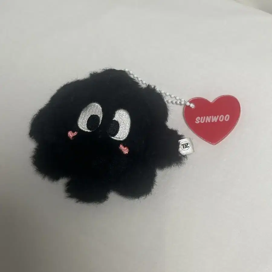 THE BOYZ | 더보이즈 The Boyz Sunwoo Generation Official Doll