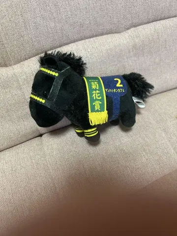 아이돌 호스 레어 맨하튼 카페 새상품