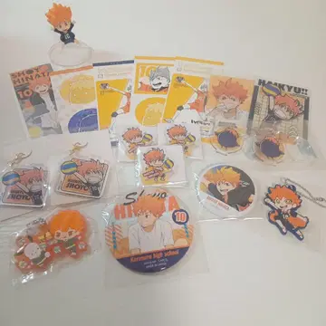 하이큐!! 히나타 쇼요 세트
