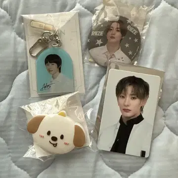 riize 랜덤 토이 부채 액세서리 ID 홀더 앤톤
