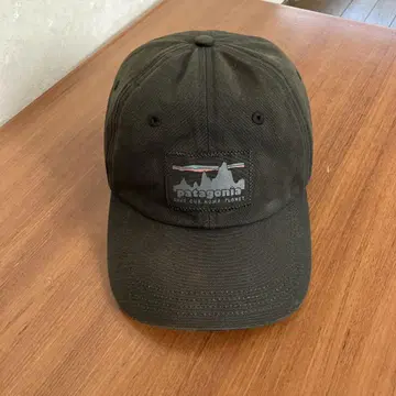 파타고니아 patagonia 73 SKYLINE TRAD CAP