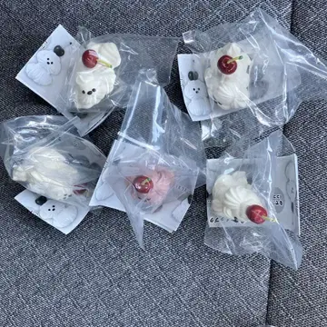 휘핑 강아지의 생활 5종 컴프 가샤