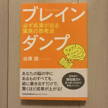 브레인 덤프 : 반드시 성과가 나오는 경이로운 사고법