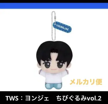 TWS 용제 SD 인형