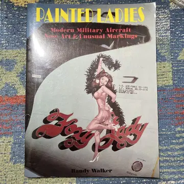 외국 도서 노즈 아트 [PAINTED LADIES]
