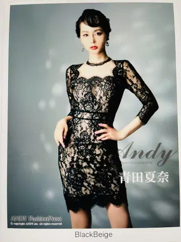 미사용 미개봉 새상품 택 포함 Andy 전체 레이스 블랙 드레스 M