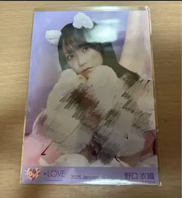 노구치 이오리 고양이 의상 친필