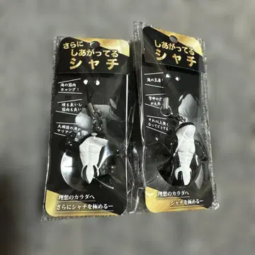고베 스마 씨월드, 샤치(오카미)가 완성되었습니다!