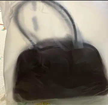 elLarge Boston Bag 지나시스 보스턴 즉시 구매 NG