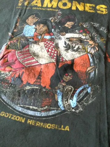RAMONES 라몬즈 티셔츠 밴드 티 아메카지 USED