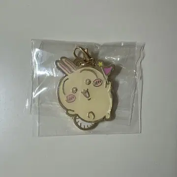 치이카와 파크 토끼 참