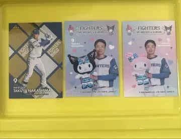 나카지마 타쿠야 트레이딩 카드 파이터즈 귀여운 시리즈 빙고 특전