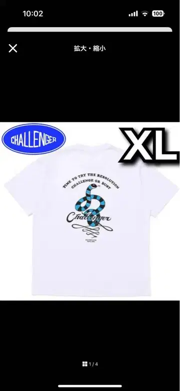 CHALLENGER 챌린저 SNAKE TEE WHITE 2025