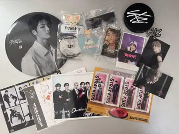 Stray Kids 아이엔 양조인 굿즈 세트