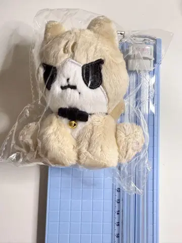 aespa Kari na 카리나 봉제 인형 just 지민냥 마스터