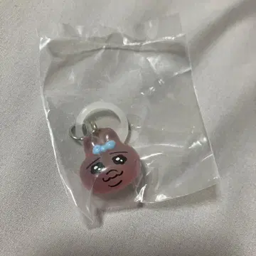빤쮸토끼 메지루시 액세서리 평상시