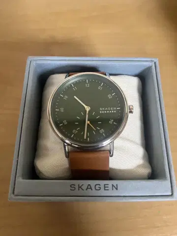 SKAGEN 그린 다이얼 가죽 벨트 시계