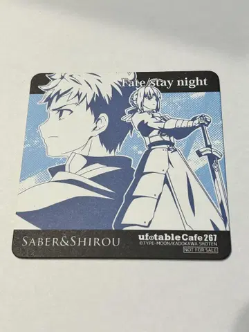 Fate stay night 에미야 시로 세이버 알토리아 코스터