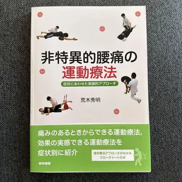 비특이적 요통의 운동 요법 증상에 맞는 실용적인 접근법