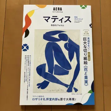 [ 마티스 자유로운 형태 ] 완전 가이드북