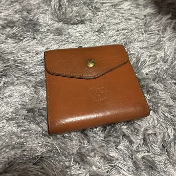 IL BISONTE/일비종떼