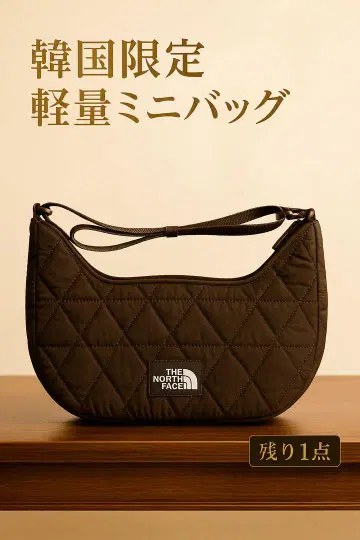 THE NORTH FACE 한국 한정판 경량 미니 백 브라운