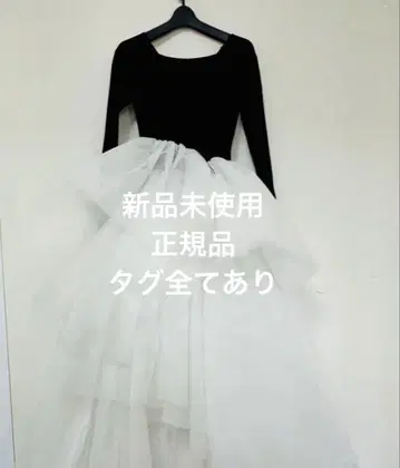 미사용 새상품 bibiy DELPHINE TULLE DRESS