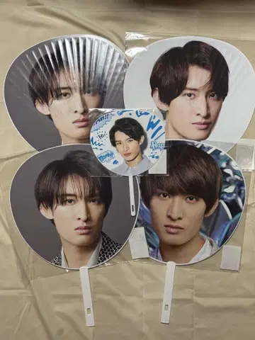 무카이 코지 부채 5매 세트