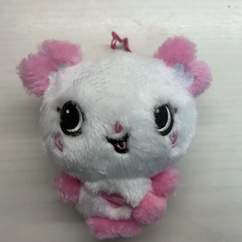 NCTWISH WISHDOLL サクヤ パン 最終値下げ NCT WISH wishdoll サクヤ パン - メルカリ