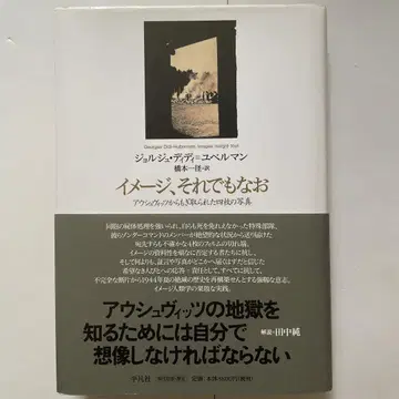 이미지, 그럼에도 불구하고 아우슈비츠에서 빼앗은 네 장의 사진
