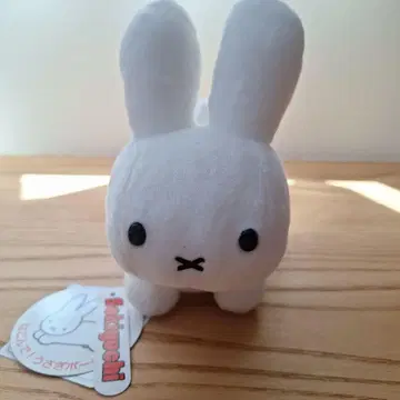 딕 브루나 토끼