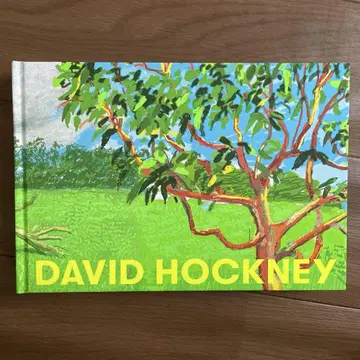 DAVID HOCKNEY 데이비드 호크니 도록