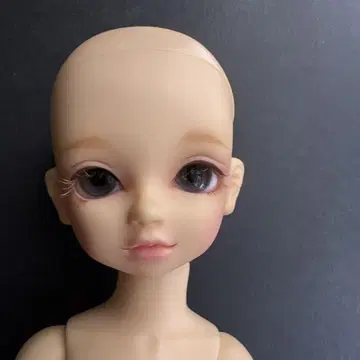 유 SD 군