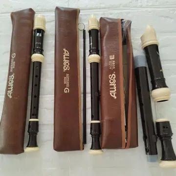 Aulos 소프라노 리코더 G & 알토 리코더 E 세트