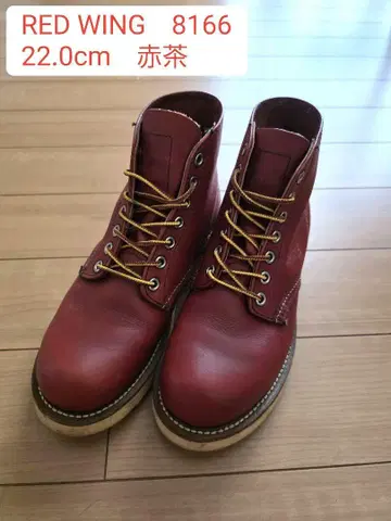 REDWING 8166 워크 부츠 플레인토 아이리쉬 세터 상자 없음
