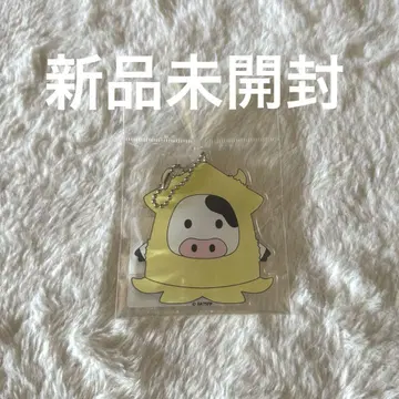 카루비이카 베이비 왈큐레 아크릴 키링 타카이시 아카리 이자와 사오리