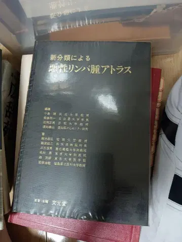 새로운 분류에 따른 악성 림프종 아틀라스