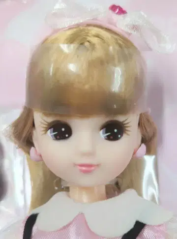 타카라토미 LD-10 정말 좋아하는 리카짱