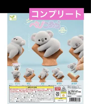 아기 코알라 풀컴프