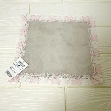 치카자와 레이스 돼지에게 진주