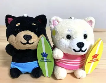 여행하는 콩 서퍼 쿠로마메 마메코 2개